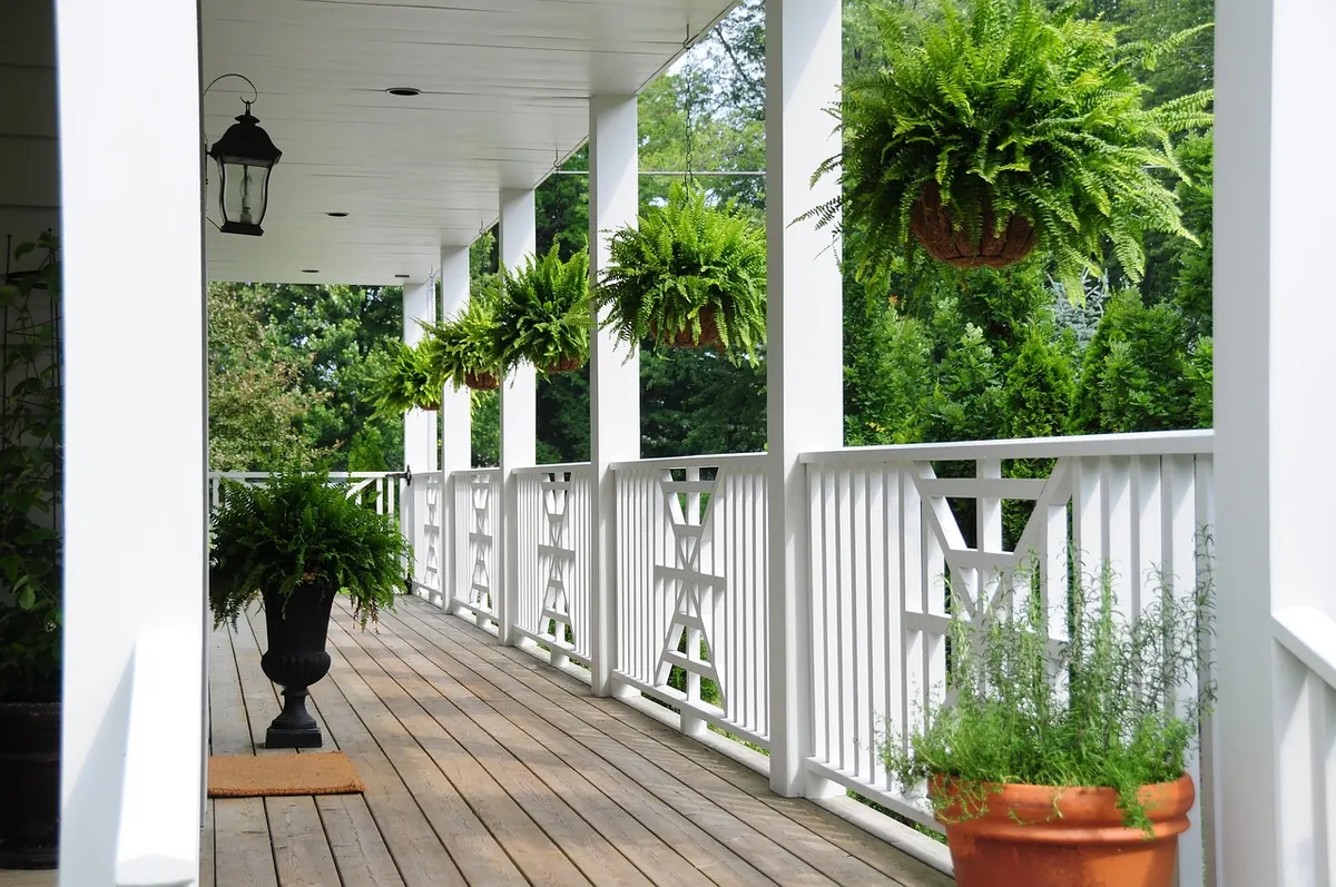 Beginner’s Guide to Container Planting: Pots, Compost and Watering