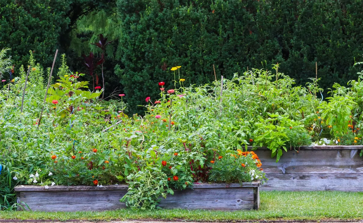 How to Build a Raised Planter from Sleepers: A UK Step-by-Step