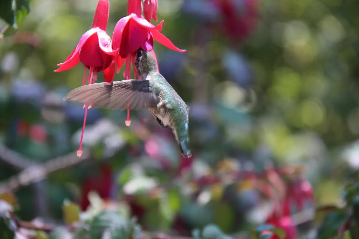 Small Garden Design Checklist: 12 Space-Saving Ideas for UK Plots